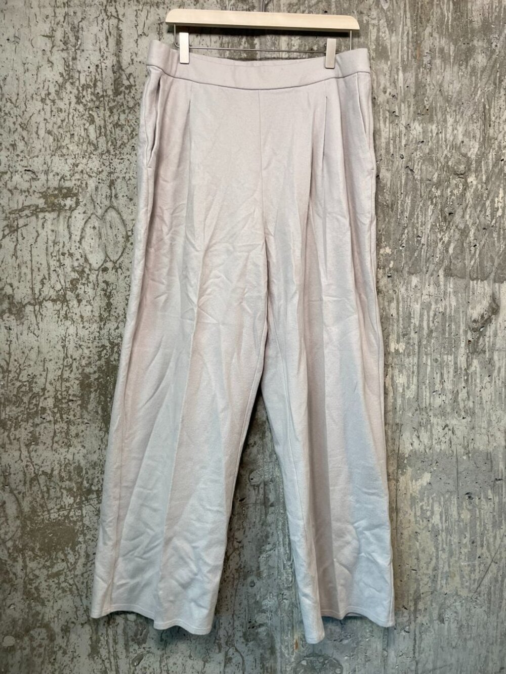 EILEEN FISHER Women's Boiled Wool Jersey Pleated Wide-Leg Pant Size L in Chalk